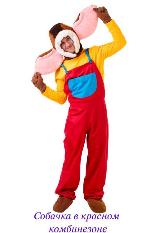 Собачка в красном комбинезоне