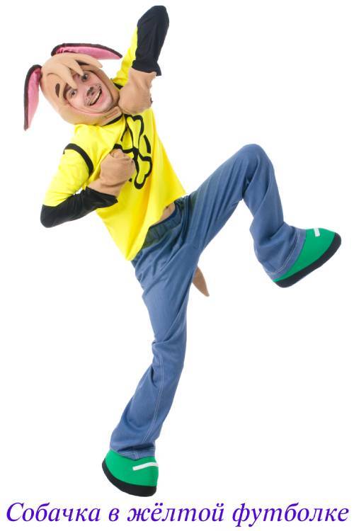 Собачка в желтой футболке