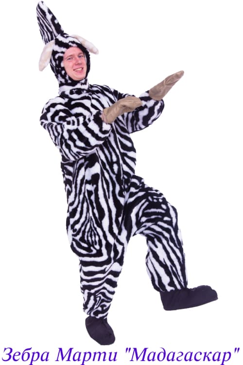 Зебра Марти Мадагаскар